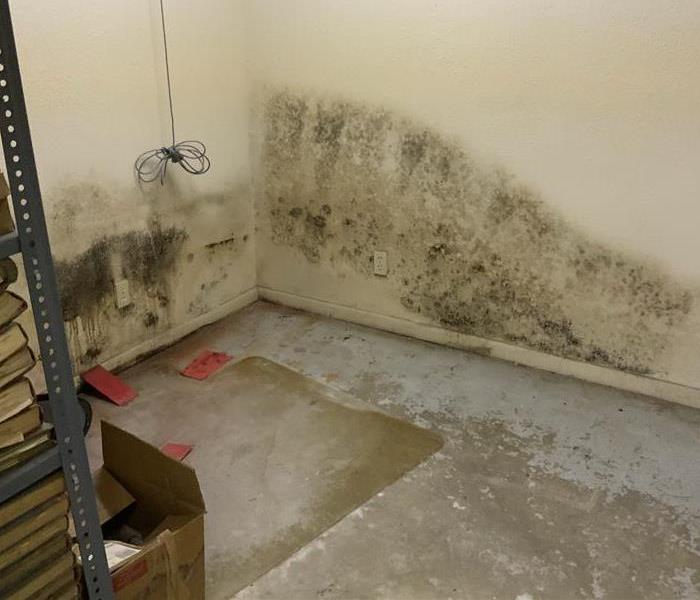 dirty flooring with category 3 water damage